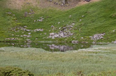 Dağlarda küçük bir göl