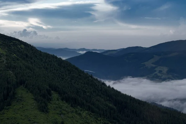 Nevoeiro Fundo Dos Picos Montanha Dos Cárpatos — Fotografia de Stock