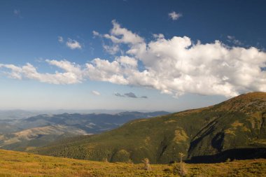 Karpatlar 'daki yaz manzaraları