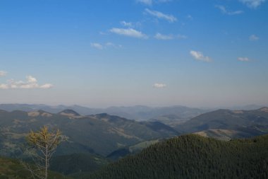 Karpatlar 'daki yaz manzaraları