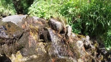 Dağlarda küçük bir dere.