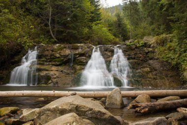 Ormandaki dağ şelalesi