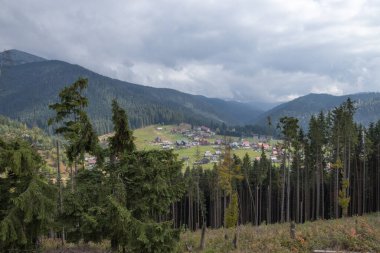 Dağlardaki orman ve bir tatil köyü