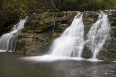Ormandaki dağ şelalesi