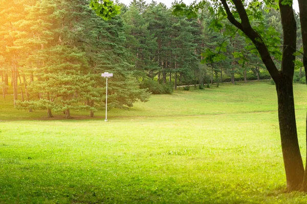 A metal pole with a solar panel and a surveillance camera stands alone in the nature park. In the rays of the sun.