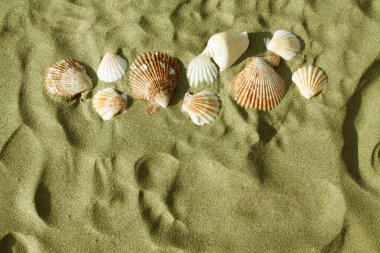 Deniz kabukları ve kumdaki ayak izleri..