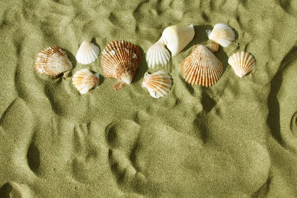 Deniz kabukları ve kumdaki ayak izleri..