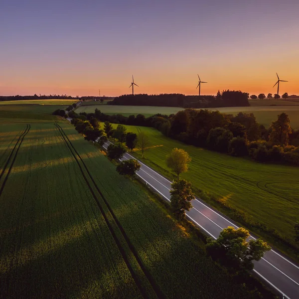 Yaz akşamının erken saatlerinde Çek Cumhuriyeti 'nde yel değirmenlerinin ufuk çizgisine giden yol.