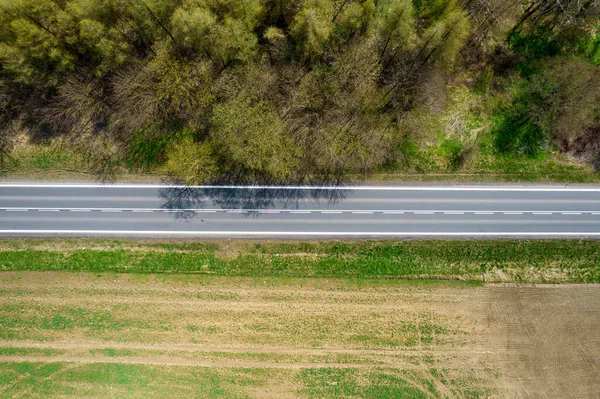 Yazın tarla ve orman arasında düz sakin bir yol.
