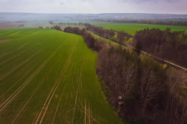 Ormanın kenarından uçurumun kenarına