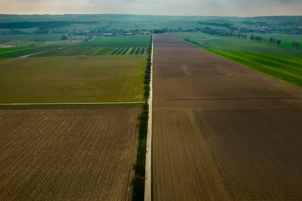 Baharın başında tarlalar arasında sakin bir yol