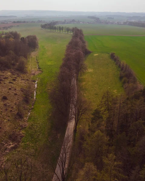 Ormanın kenarından uçurumun kenarına