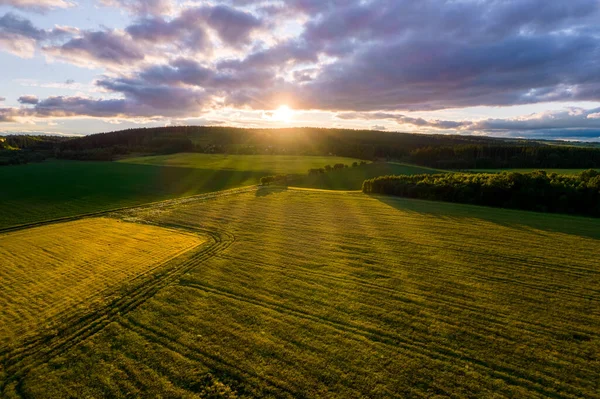 Gün batımında orman ve tarlaları olan bir panorama. 