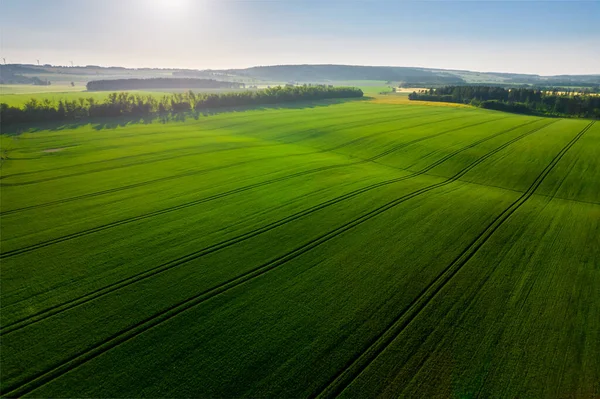 Beautiful calm view of flooded fields in spring from a drone