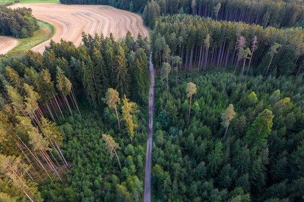 Schnurgerade Straße Mitten Wald Die Feldern Führt — Stockfoto