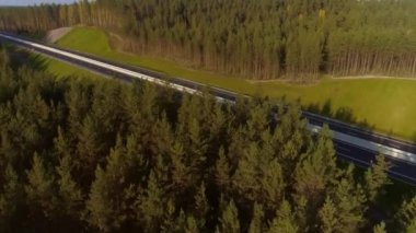 Yaz. Hava görüntüsü, kuadkopter. Güzel bir manzara. Yeni yol bölümü, beyaz işaretler, sınır çitleri. Yeşil kaldırım. Kozalaklı orman, uzun ağaçlar. Yüksek yol kenarı