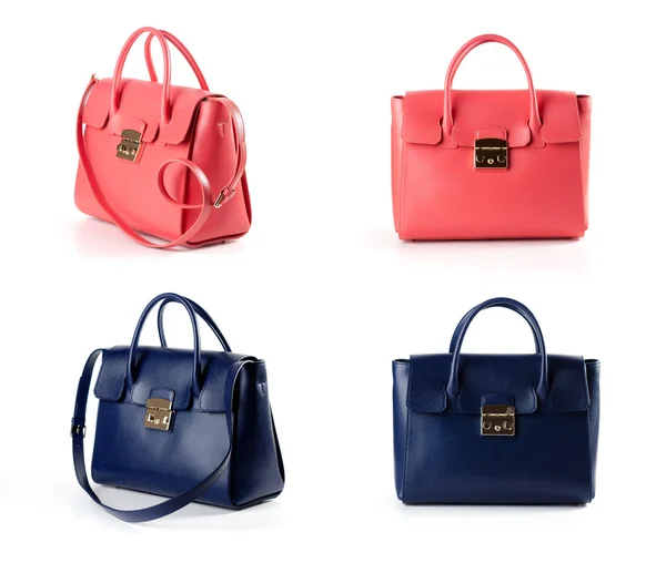 Isolated women leather handbags — Stock Photo, Image