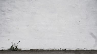 gri alçı duvar backgbround