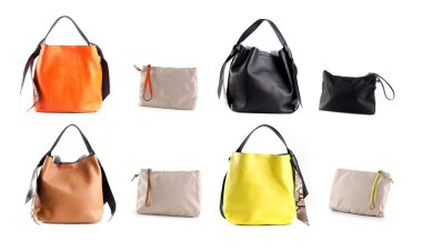 renk deri kadın çanta grup izole beyaz arka plan üzerinde