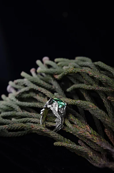 Shiny jewelry ring with green leaves on black background — Stock Photo, Image