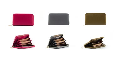 renk deri kadın cüzdan grup izole beyaz arka plan üzerinde