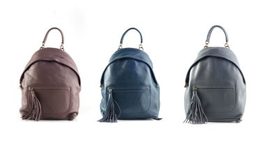 Grup beyaz arka plan üzerinde izole deri renk sırt çantaları