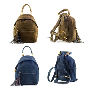 Grup beyaz arka plan üzerinde izole deri renk sırt çantaları