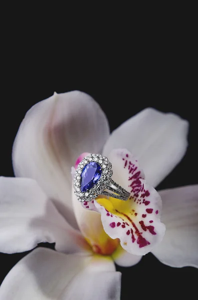 Glimmende sieraden ring op orchid op donkere achtergrond — Stockfoto