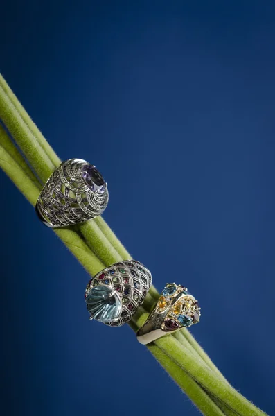 Glanzend sieraden en juwelen met bloemen elementen — Stockfoto