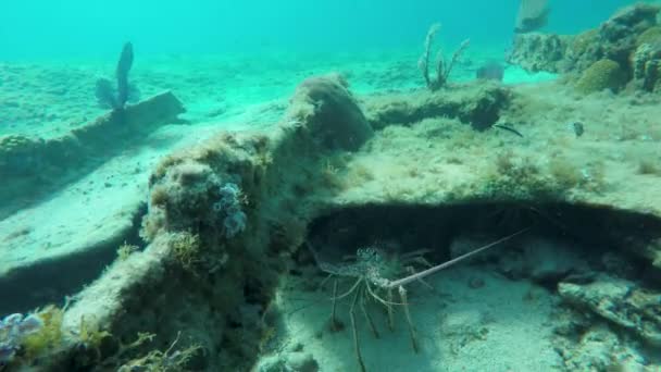 Vue sous-marine d'un grand rocher — Video