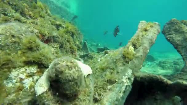 Underwater view of a large rock — Stock Video