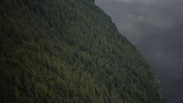 高いから山の頂上の森のワイドショット — ストック動画
