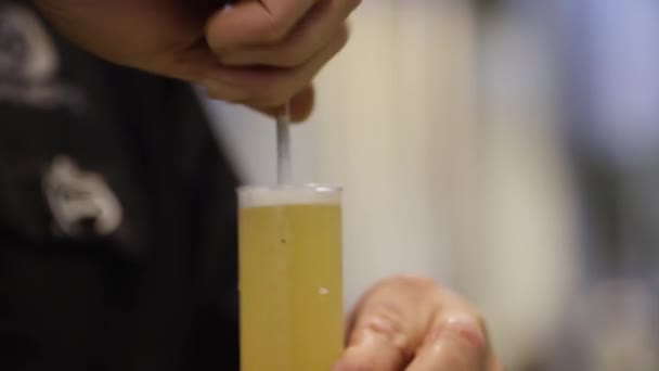 Eine Hand hält ein Glas Bier — Stockvideo