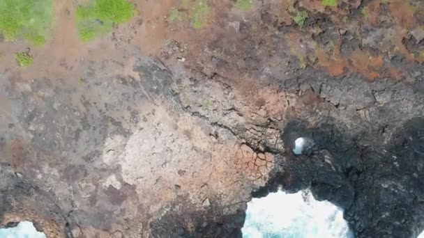 Rising birds-eye view spinning high above drone operator on rocky Hawaiian coast — стокове відео