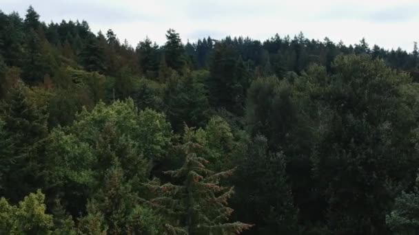 Een bord voor een bos — Stockvideo