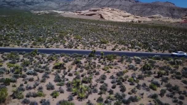 砂漠の道を白い車が通り過ぎる — ストック動画