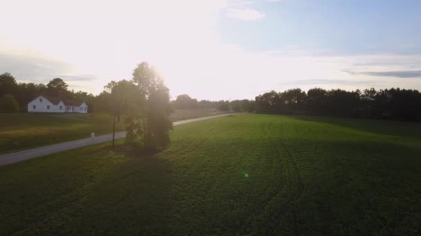 Een teken in een veld — Stockvideo