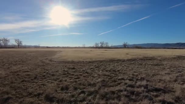 Una señal en un campo de hierba seca — Vídeos de Stock