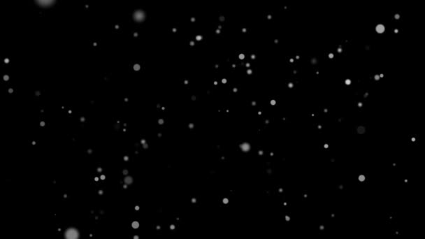 Медленные белые частицы, плавающие на черном фоне — стоковое видео