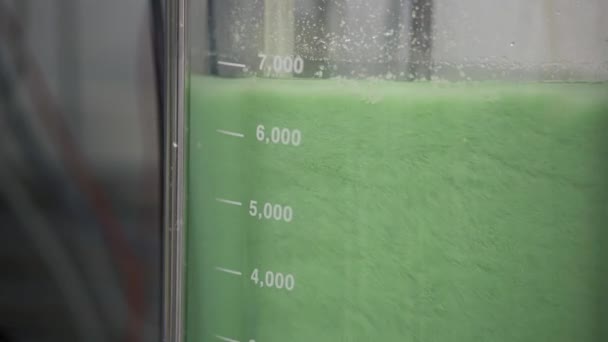 Un cartello verde con testo bianco — Video Stock