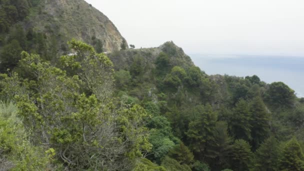 Trafic et arbres au large d'une falaise dans la vallée — Video