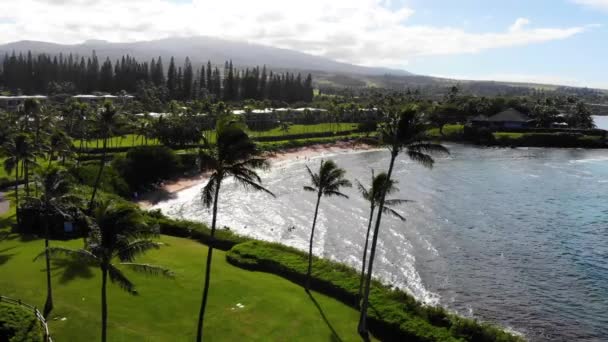 Seguimiento de tiro derecho en la playa privada en Maui — Vídeo de stock