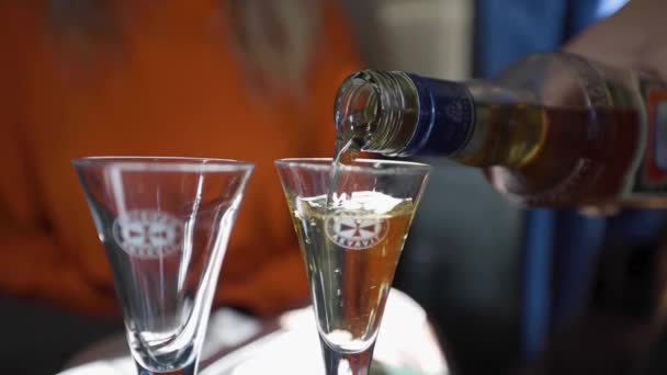 Een glas wijn — Stockvideo