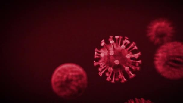 A view of a corona virus cells — Stock Video