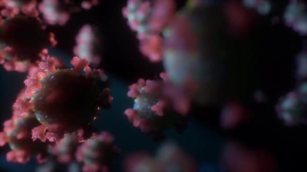 Een microscopisch niveau corona viruscellen — Stockvideo