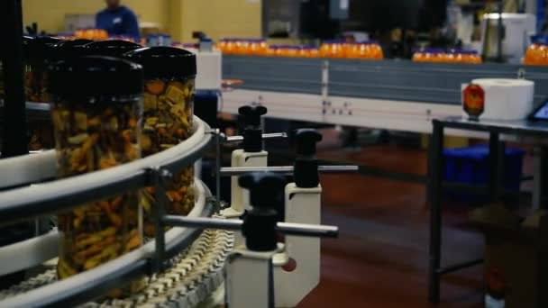 Un contenedor transparente con bocadillos mezclados en una línea de producción en una fábrica — Vídeo de stock