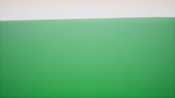 Um tiro largo da cidade modelada 3D verde que ascende do plano verde — Vídeo de Stock