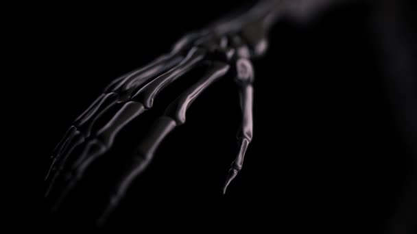 Un squelette os mains fermer — Video