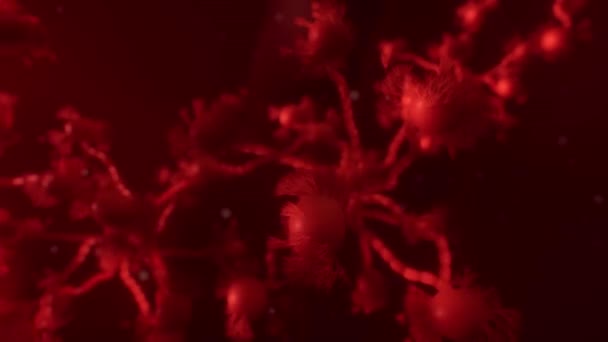 Ein verschwommenes Bild eines Stoppschildes, das nachts aufleuchtet — Stockvideo