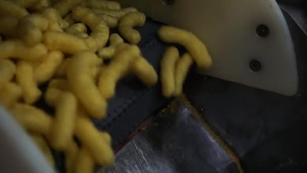 Een close-up van een hotdog en frietjes — Stockvideo